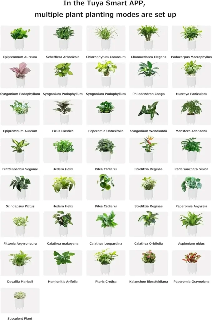 تجربة العناية الذكية بالنباتات في المنزل